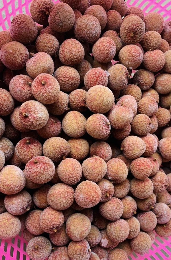 FROZEN LYCHEE