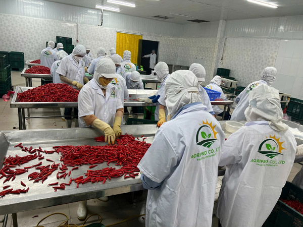 factory production