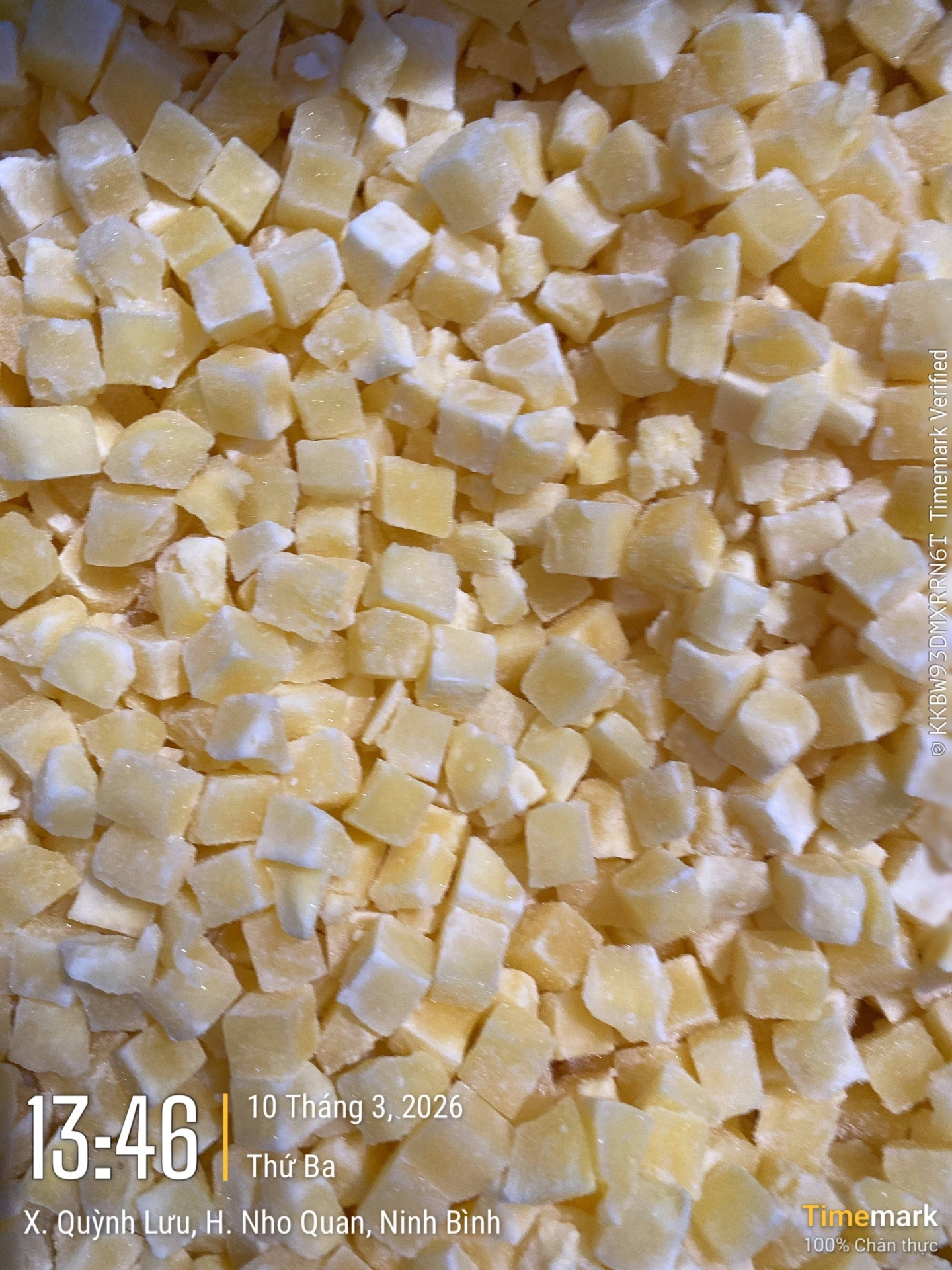 FROZEN DICED POTATO