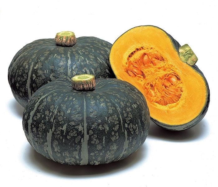 FROZEN DICED PUMPKIN