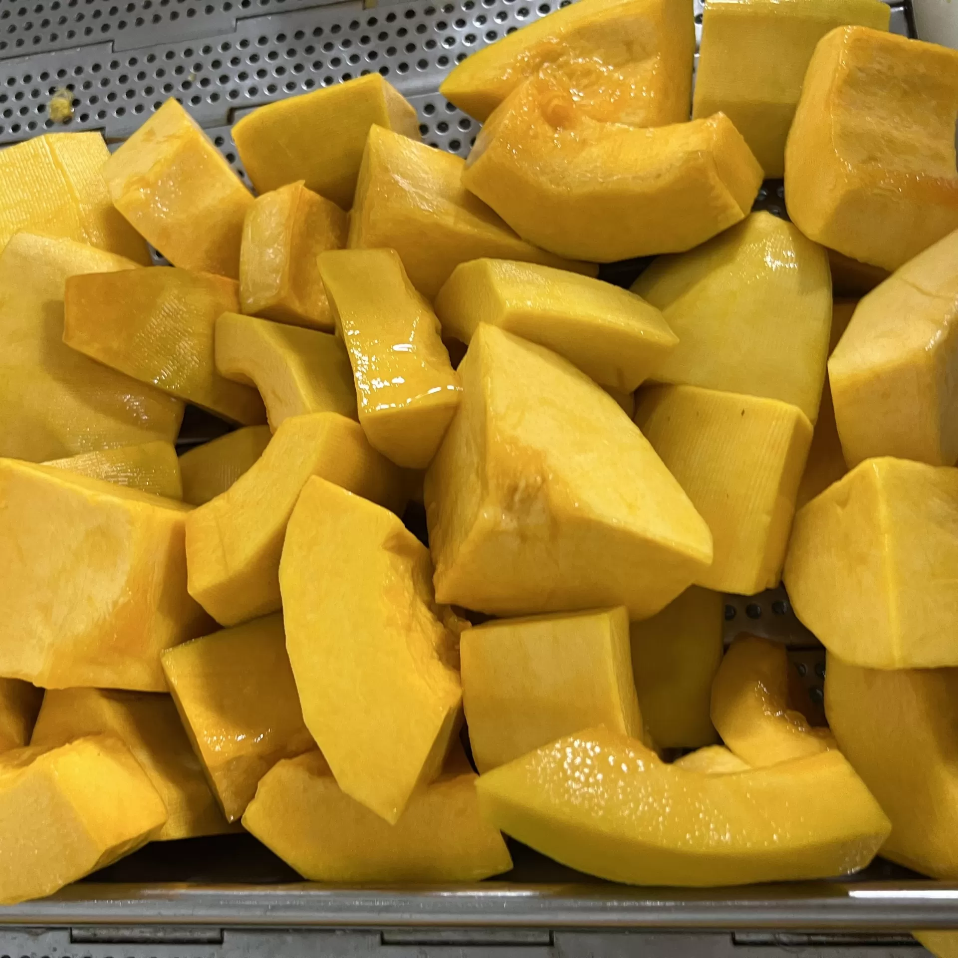 FROZEN PUMPKIN CUT