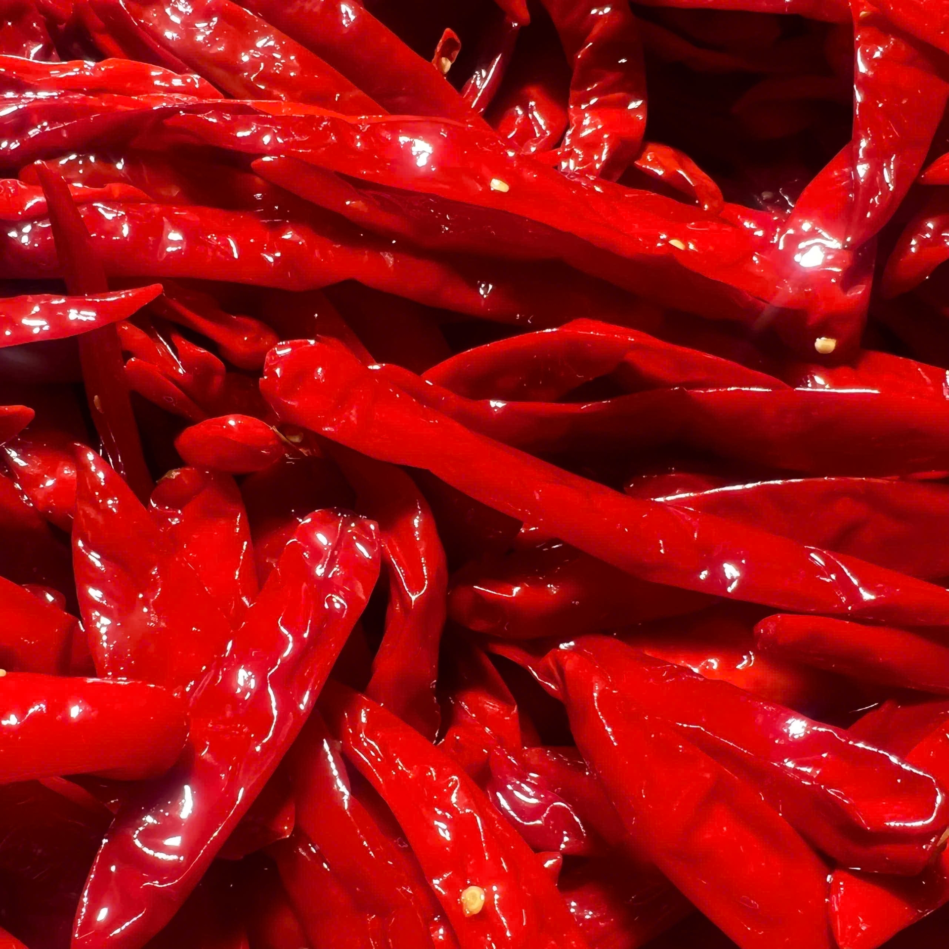 BIG SALTED RED CHILI