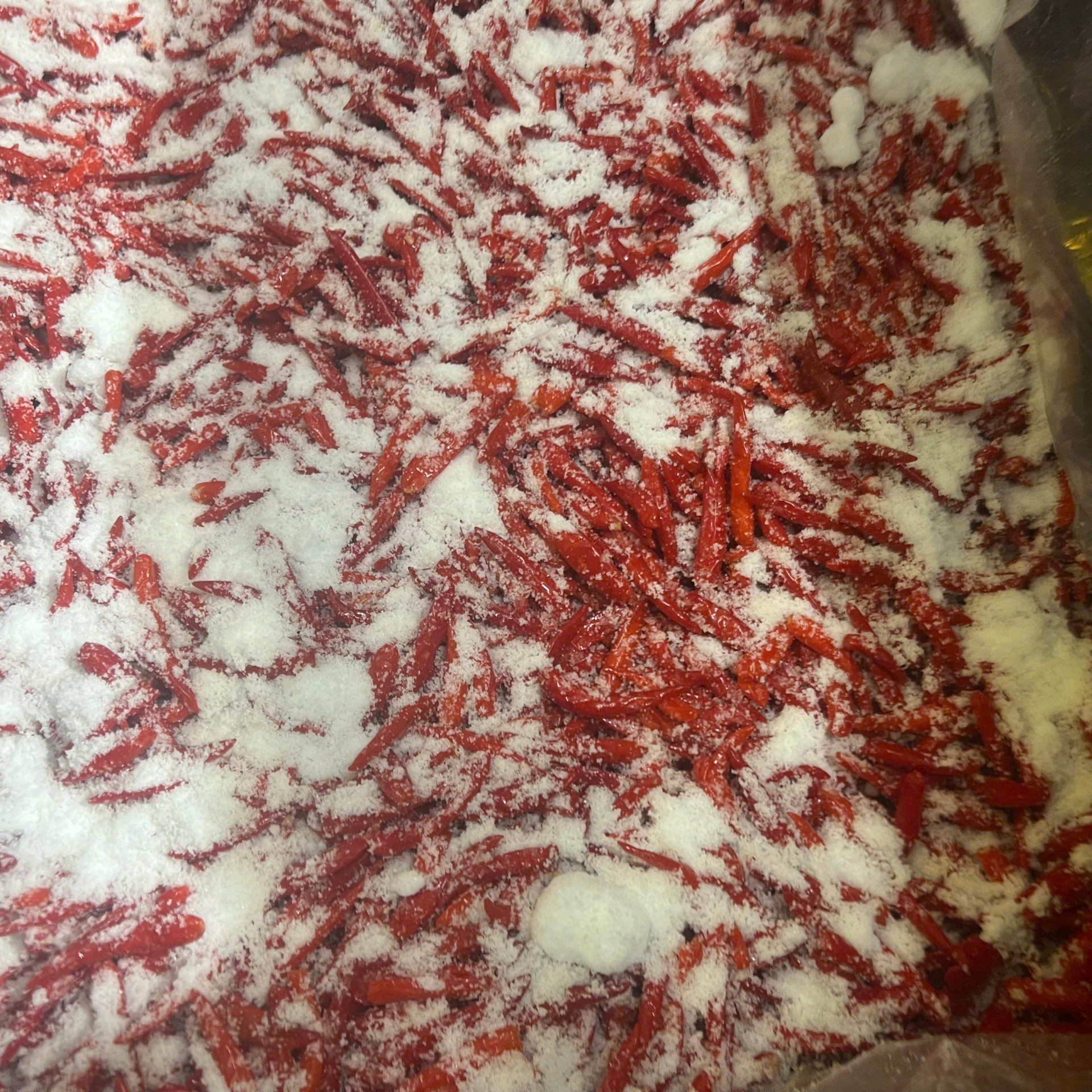 BIG SALTED RED CHILI