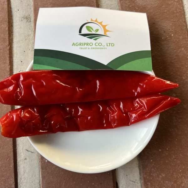 BIG SALTED RED CHILI