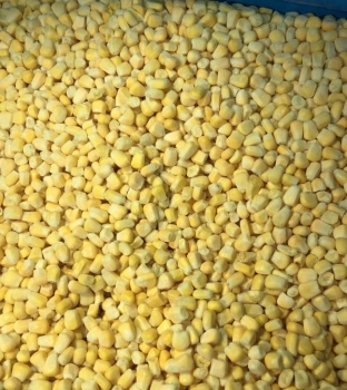 FROZEN  SWEET CORN KERNEL