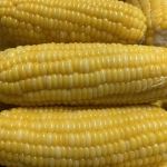 FROZEN SWEET CORN
