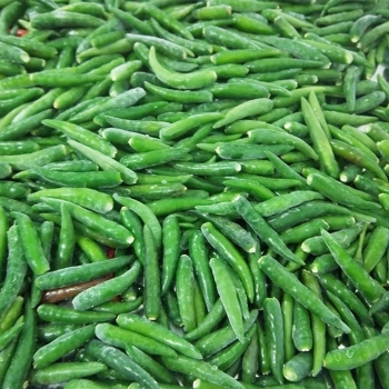 FROZEN GREEN CHILLI