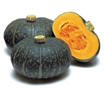 FROZEN DICED PUMPKIN