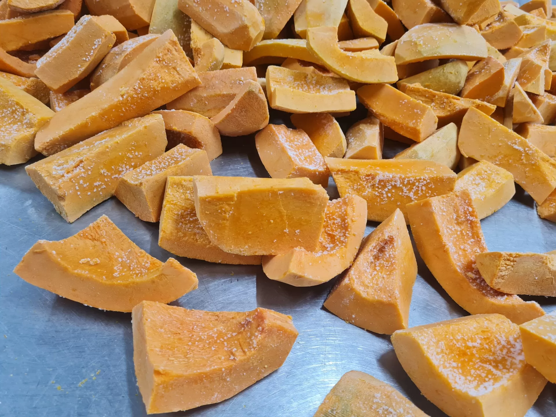FROZEN PUMPKIN CUT