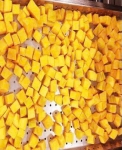 FROZEN DICED PUMPKIN