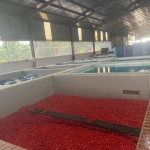 SMALL SALTED RED CHILLI