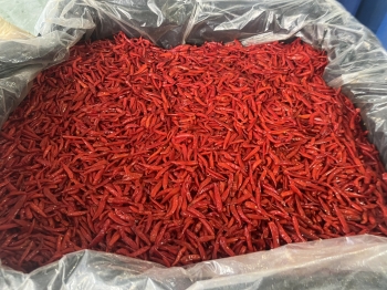 SMALL SALTED RED CHILLI
