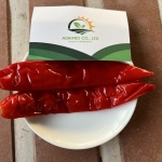 BIG SALTED RED CHILI