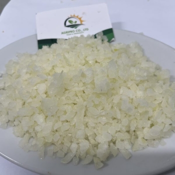 FROZEN DICED ONION